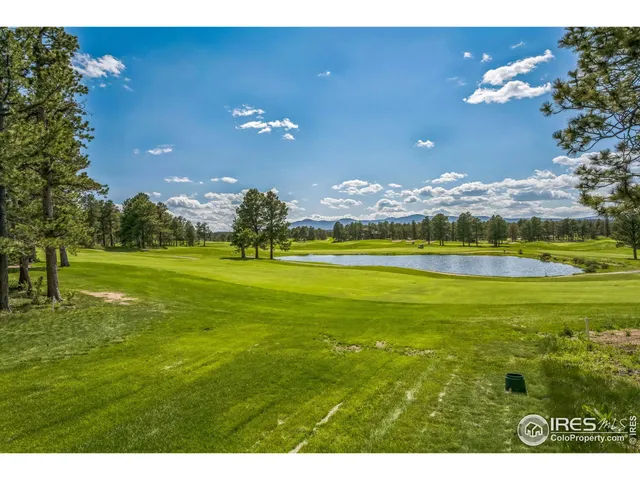 a view of a big yard with swimming pool