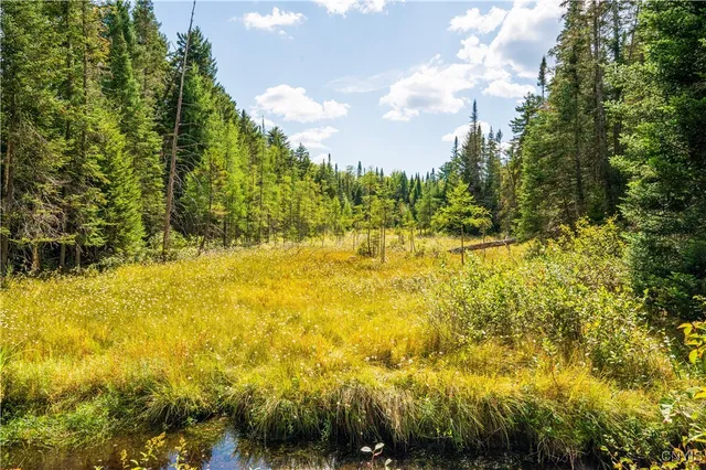 $229,900 | 376 Kohler Road, Ohio, NY 13324