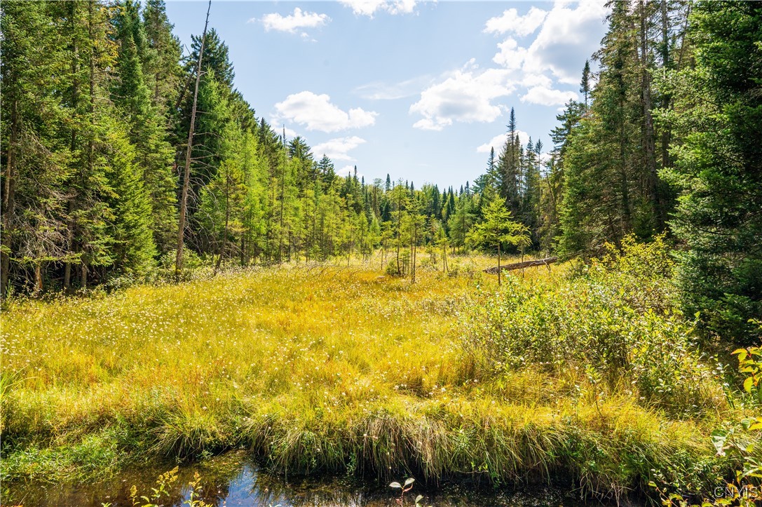 376 Kohler Road Ohio, NY 13324 - Photo 16 of 37