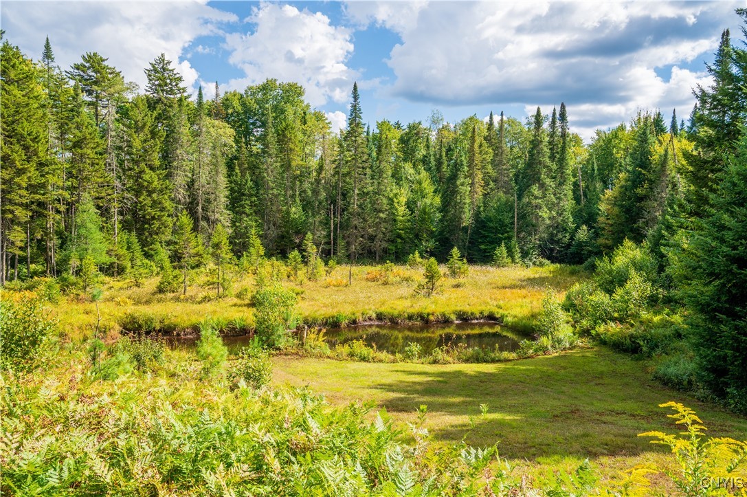 376 Kohler Road Ohio, NY 13324 - Photo 3 of 37