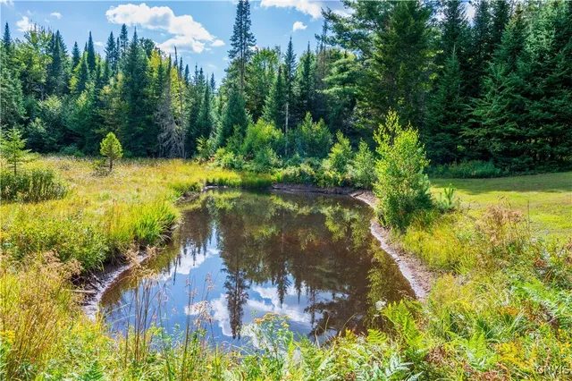 $229,900 | 376 Kohler Road, Ohio, NY 13324