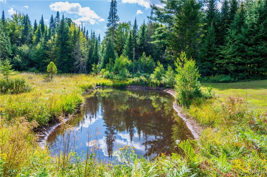 376 Kohler Road Ohio, NY 13324 - Photo 4 of 37