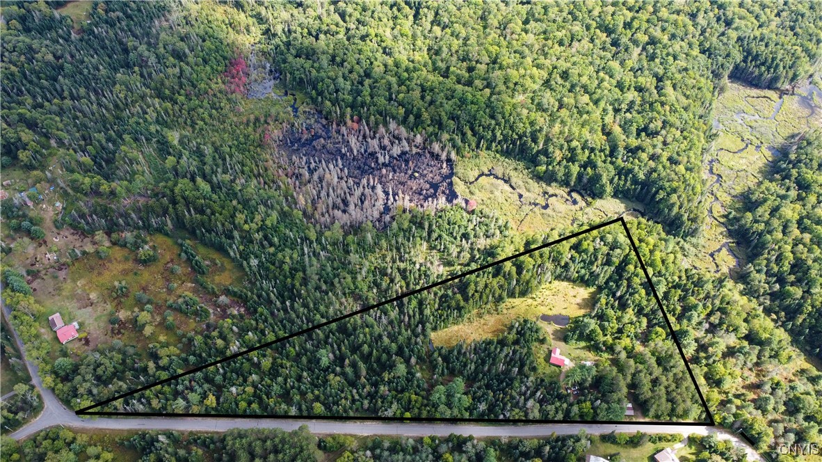 376 Kohler Road Ohio, NY 13324 - Photo 8 of 37