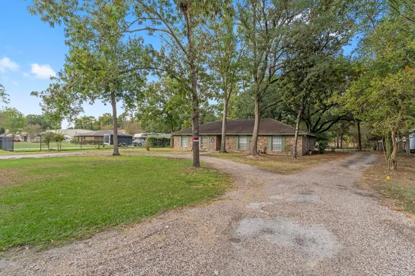 a view of a park with large trees