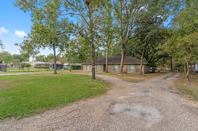 a view of a park with large trees