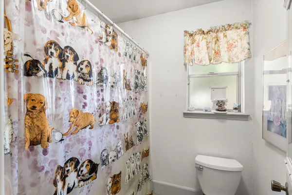 a bathroom with a toilet and a shower curtain
