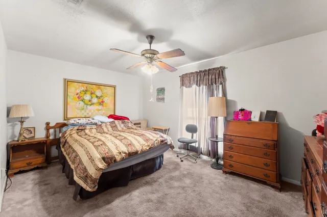 a bed room with a bed and a ceiling fan