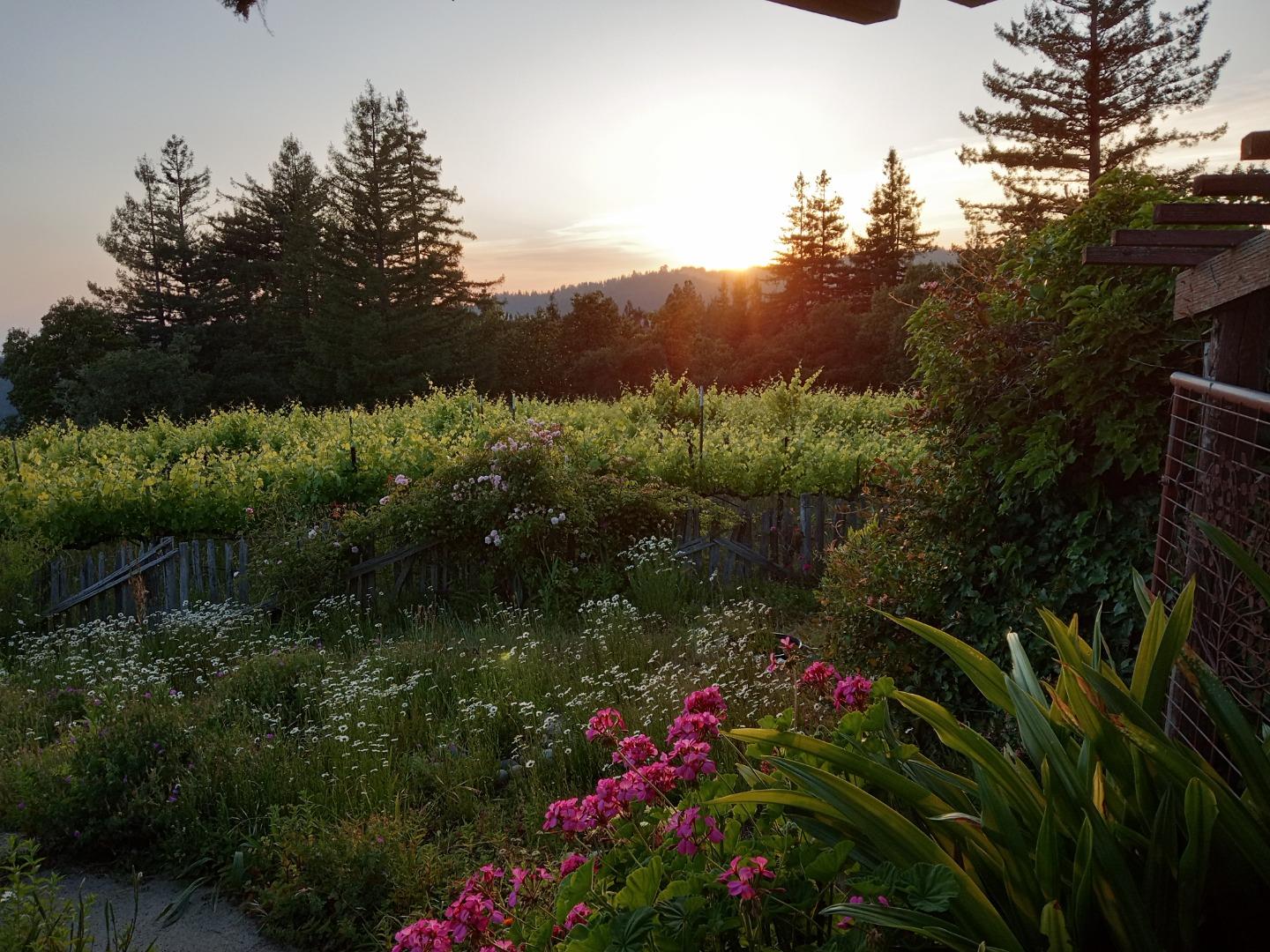 1580 Tindall Ranch Road Watsonville, CA 95076 - Photo 66 of 145 Gallery Image 66