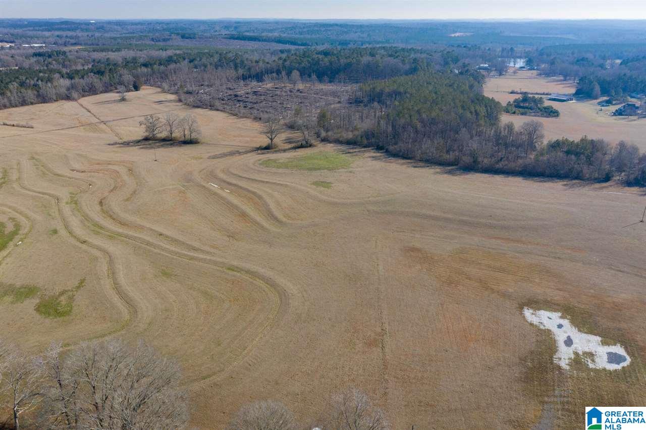 11218 Vance Blocton Road Vance, AL 35490 - Photo 3 of 37