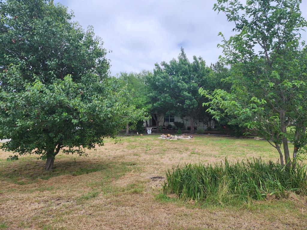 5538 Schluter Road Ponder, TX 76259 - Photo 1 of 1 a view of a yard with a tree