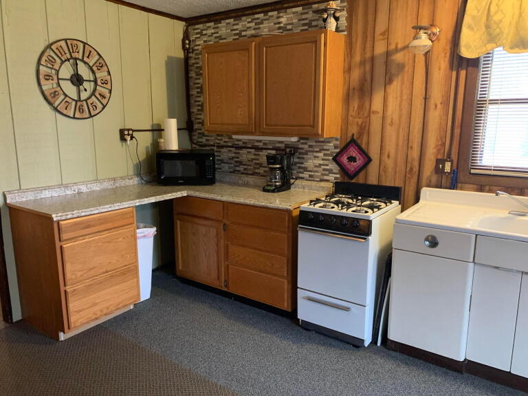 1020 Snake Branch Road Mio, MI 48647 - Photo 3 of 35 Gallery Image 3