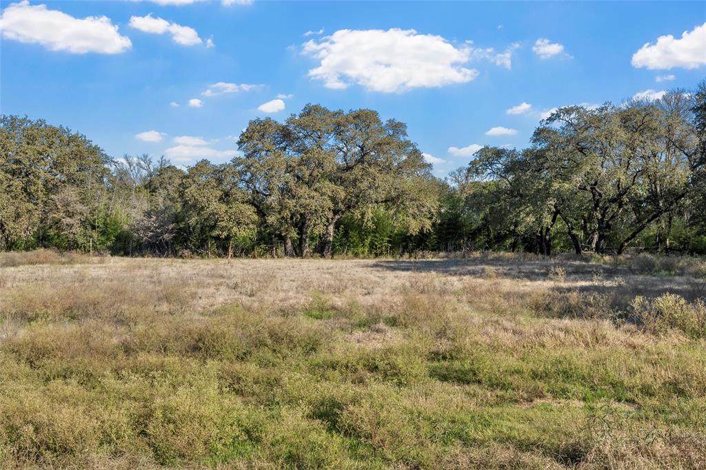 1227 McLennan Crossing Road Woodway, TX 76712 - Photo 25 of 30 a view of backyard with green space