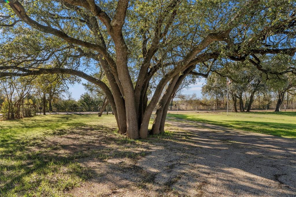 1227 McLennan Crossing Road Woodway, TX 76712 - Photo 6 of 30 a view of a trees in a yard