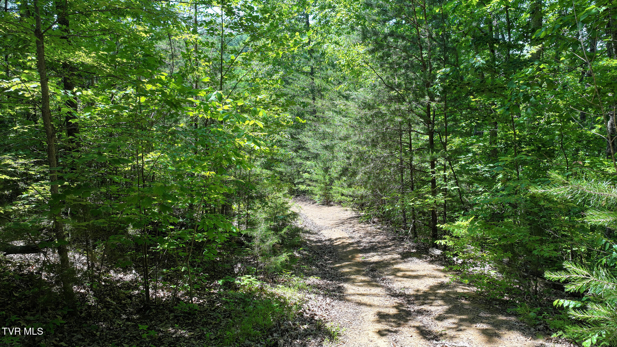 1475 Davis Valley Road Afton, TN 37616 - Photo 37 of 67 37