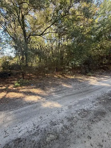 a view of a yard with a tree