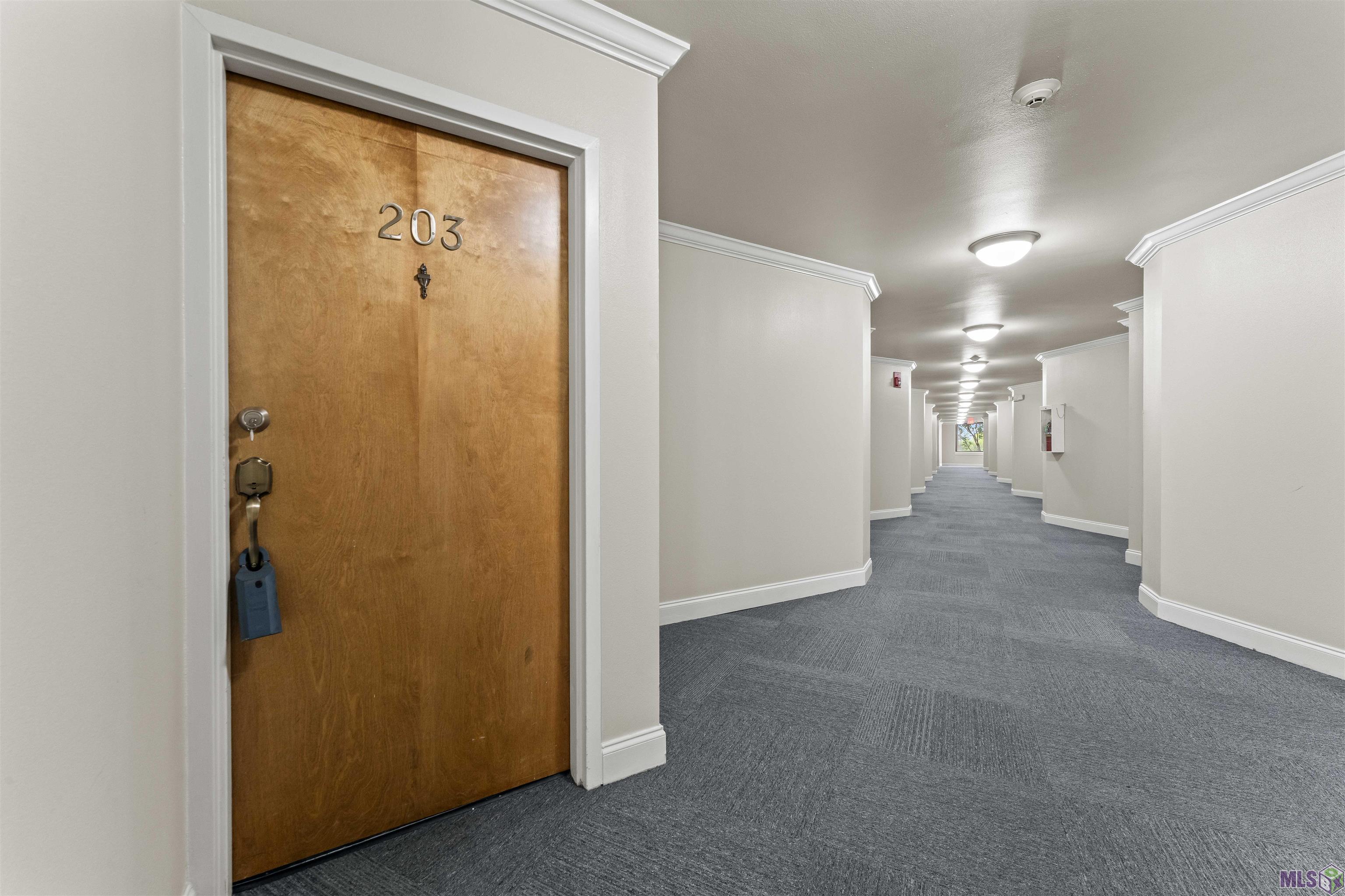 2045 North 3rd Street, Unit 203 Baton Rouge, LA 70802 - Photo 10 of 10