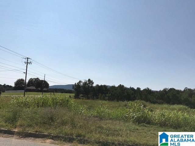 9 Easy Street Anniston, AL 36207 - Photo 14 of 22