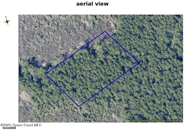 a park with a bench and trees