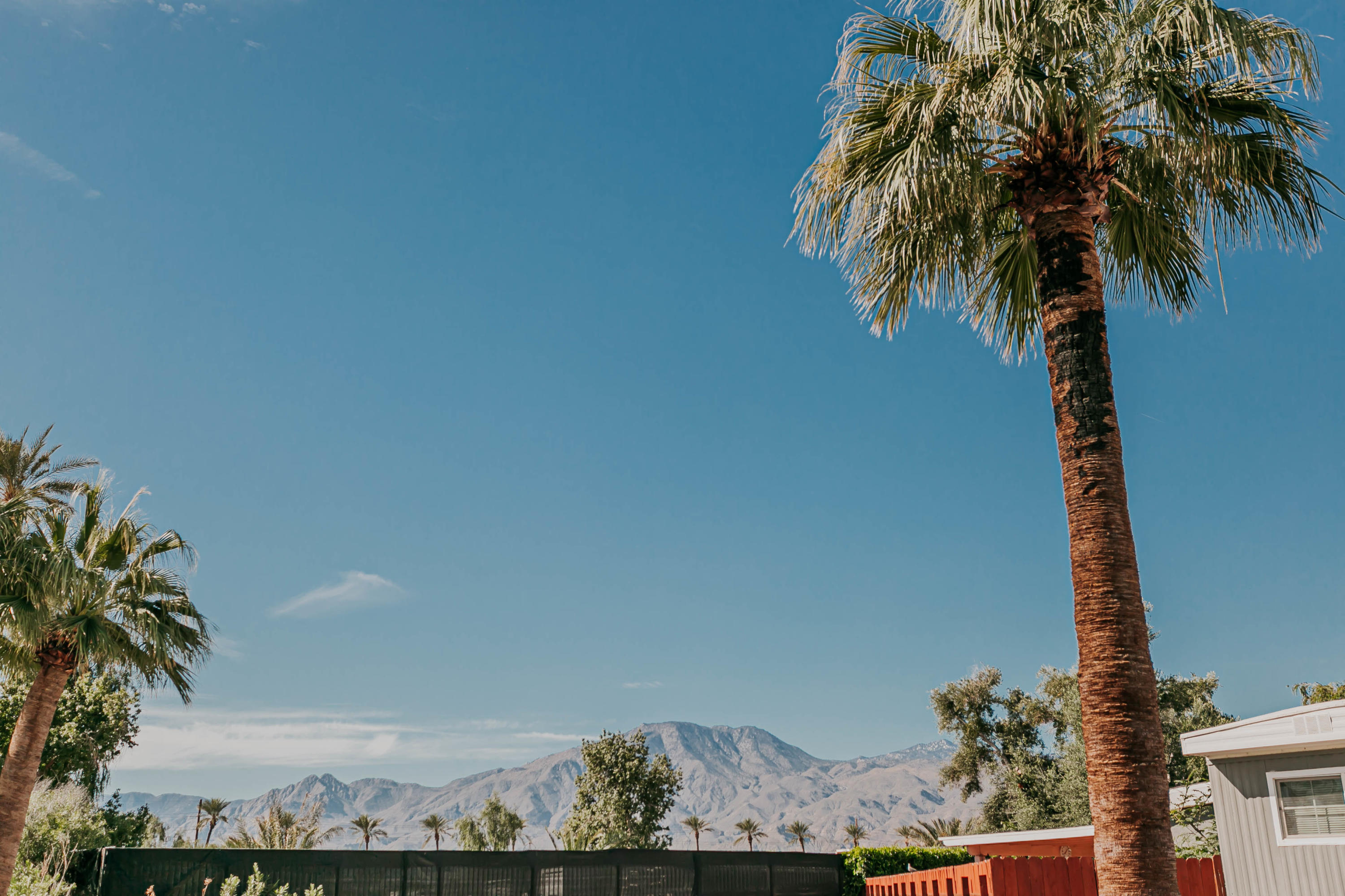 51555 Monroe Street, Unit 26 Indio, CA 92201 - Photo 40 of 54 MonroeMobileHome_RMP-107