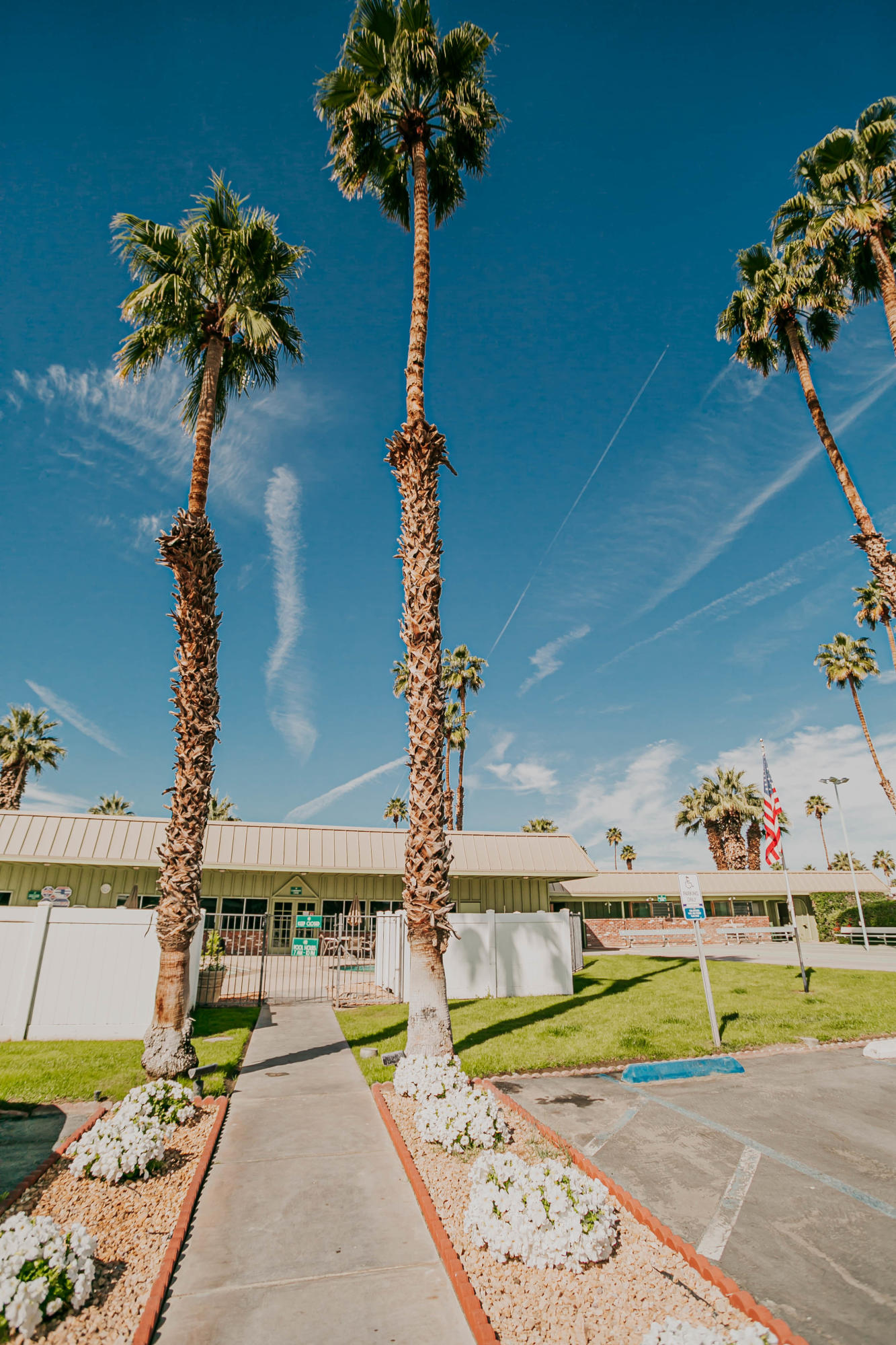 51555 Monroe Street, Unit 26 Indio, CA 92201 - Photo 45 of 54 a picture of a table and chairs with potted plants