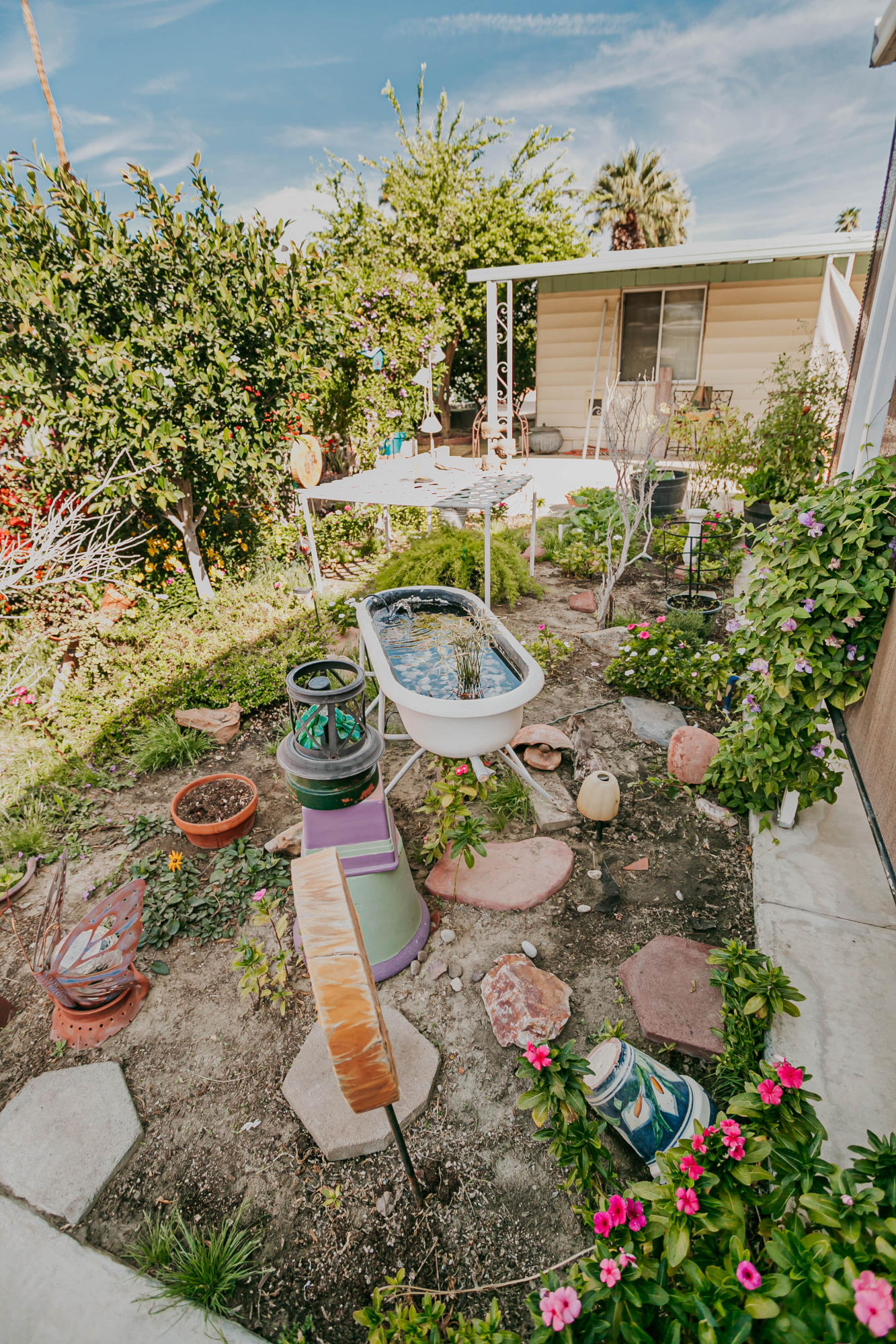 51555 Monroe Street, Unit 26 Indio, CA 92201 - Photo 6 of 54 a view of a backyard with chair and potted plants