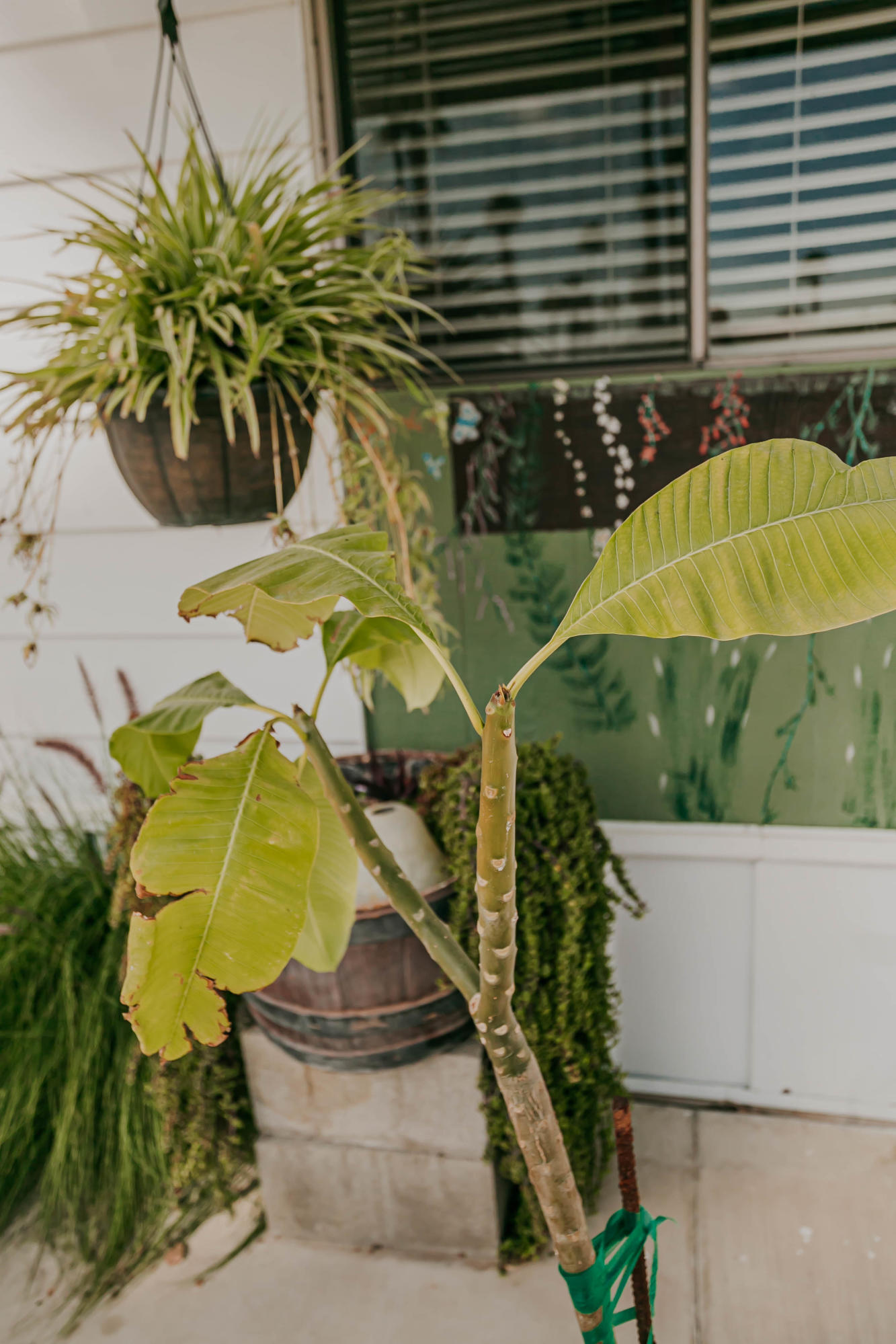 51555 Monroe Street, Unit 26 Indio, CA 92201 - Photo 53 of 54 a house with a swimming pool