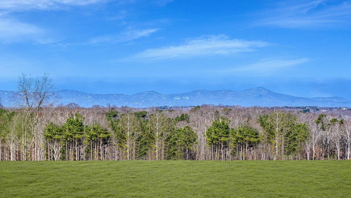 548 Sapling Gap Road Greer, SC 29651 - Photo 4 of 6 Gallery Image 4