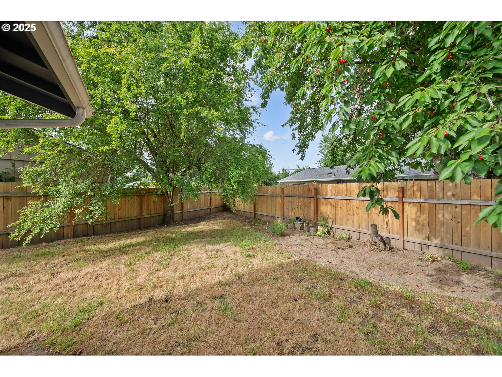 4591 Juliana Loop Southeast Salem, OR 97317 - Photo 30 of 32 a view of backyard with a barn and large trees