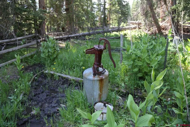 a view of a tree in a yard