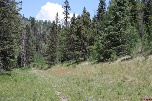 a view of outdoor space with trees
