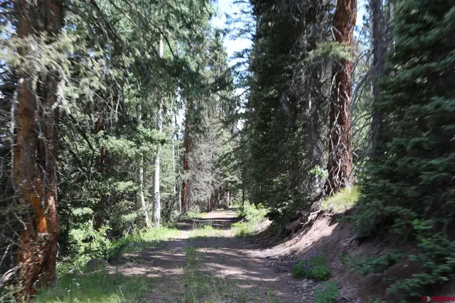 a view of a lush green field