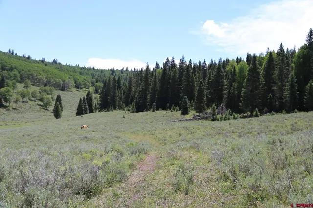 a view of a lush green space with sea