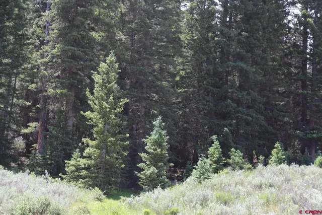 a plant view of a house with a tree
