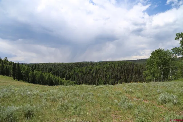 $4,000,000 | Big Blue Big Blue Little Blue Creeks Road, Cimarron, CO 81220