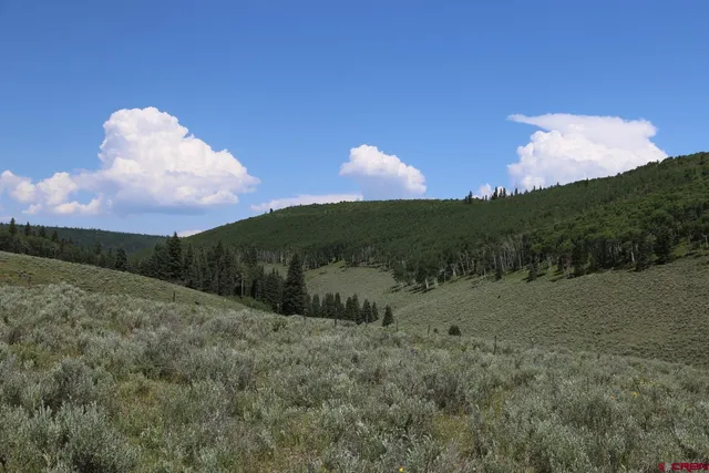 a view of outdoor space yard and tree