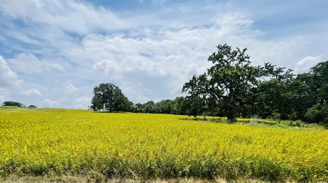 a view of yard with swimming pool and mountain in the back