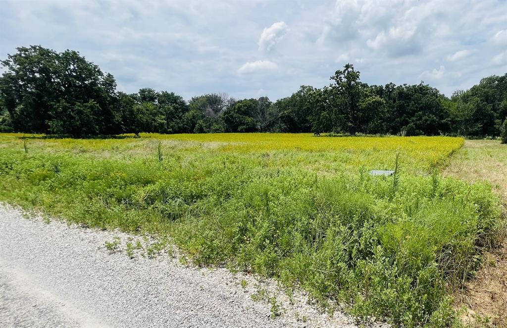1037 Gonzollas Road Springtown, TX 76082 - Photo 15 of 19 a view of a swimming pool and a yard
