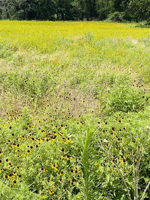 1037 Gonzollas Road Springtown, TX 76082 - Photo 16 of 19 a view of an ocean from a window