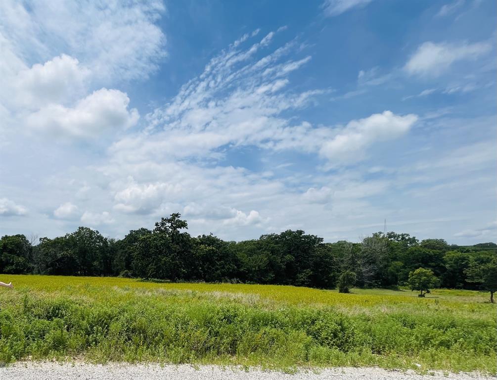 1037 Gonzollas Road Springtown, TX 76082 - Photo 17 of 19 a view of grassy field with trees
