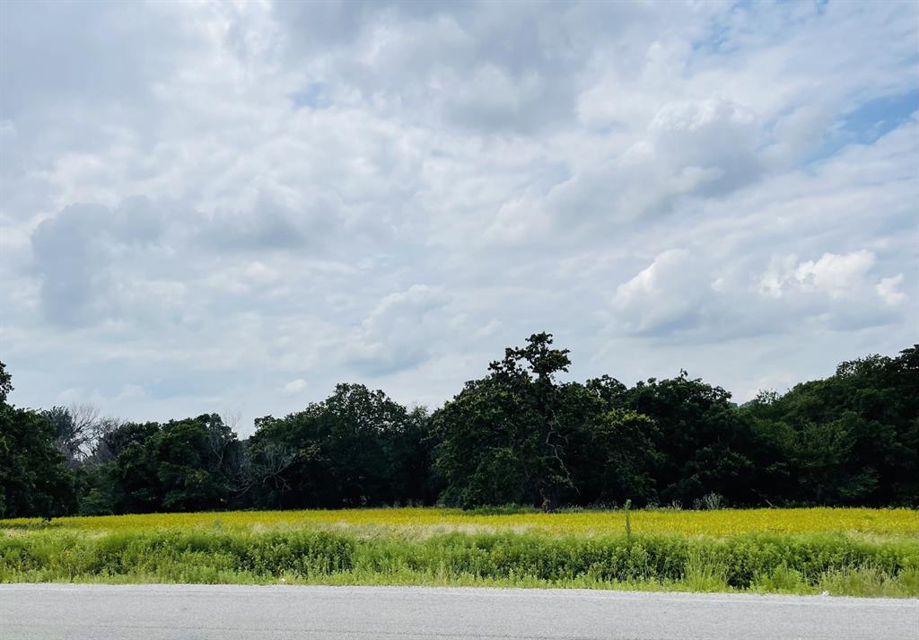1037 Gonzollas Road Springtown, TX 76082 - Photo 18 of 19 a view of a yard