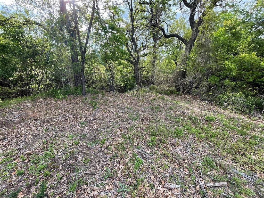 1037 Gonzollas Road Springtown, TX 76082 - Photo 19 of 19 a view of a yard with a tree