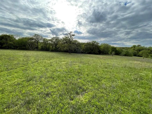 a view of a field with an trees in the background