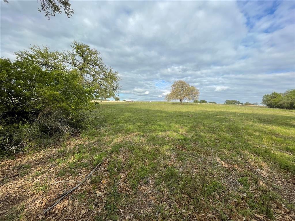 1037 Gonzollas Road Springtown, TX 76082 - Photo 3 of 19 a yard with green space and fog