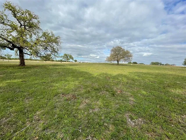 a view of a green field with lots of bushes