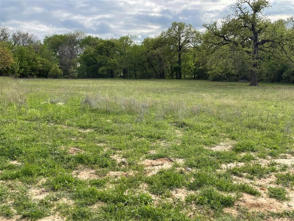 1037 Gonzollas Road Springtown, TX 76082 - Photo 6 of 19 a view of a green field with lots of bushes