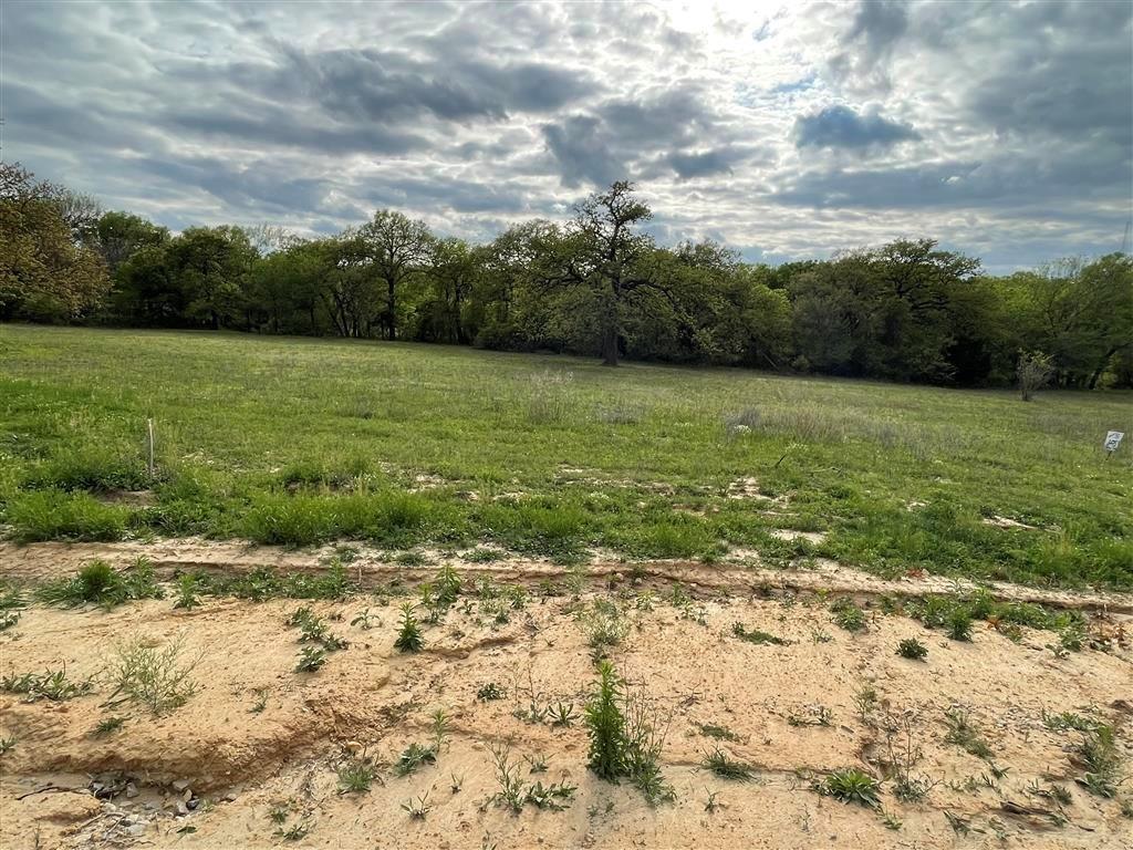 1037 Gonzollas Road Springtown, TX 76082 - Photo 7 of 19 a view of a field with an ocean view