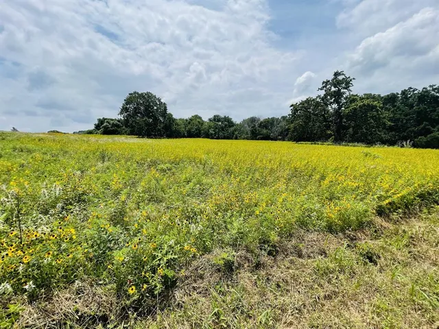 a view of an ocean view