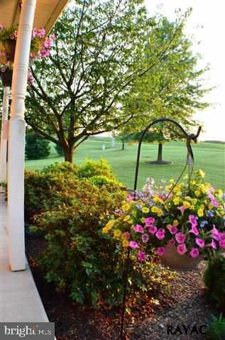 6335 Pahagaco Road Spring Grove, PA 17362 - Photo 4 of 35 Gallery Image 4