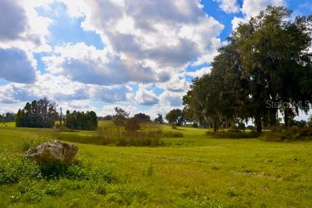 11750 Southeast 22nd Ave Road Ocala, FL 34480 - Photo 2 of 5 a view of yard with swimming pool and green space