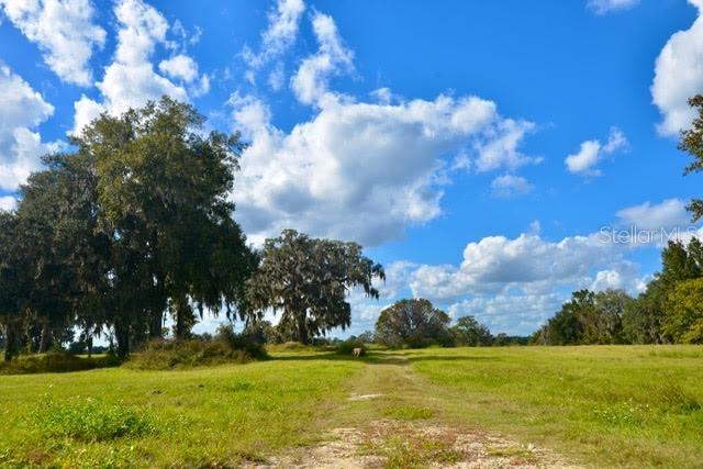 11750 Southeast 22nd Ave Road Ocala, FL 34480 - Photo 3 of 5 a view of a building in the middle of a yard